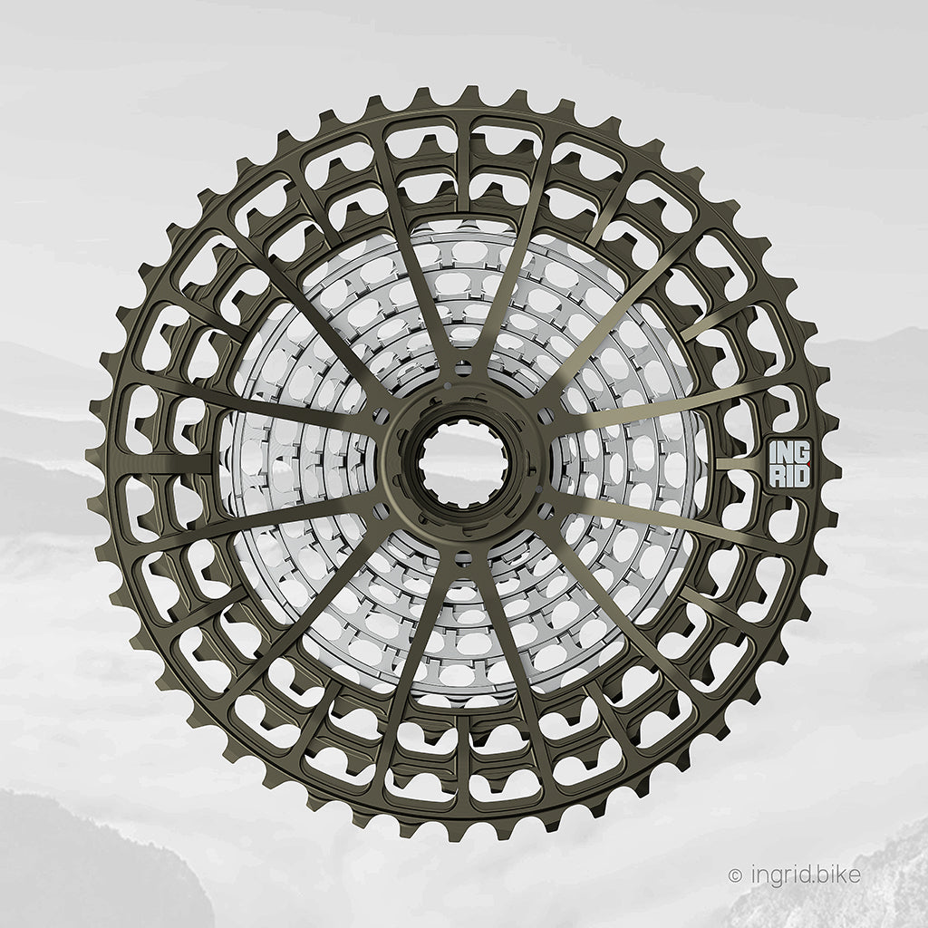 Ingrid Cassette 12 Speed 10 - 48T