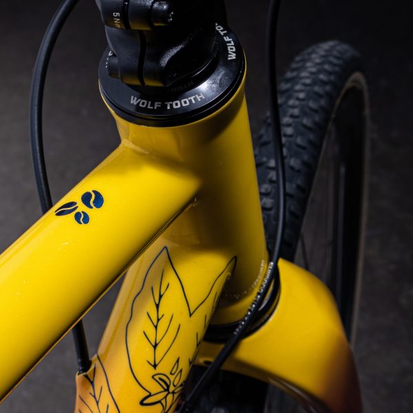 Scarab Paramo Integraded Disc - Frameset