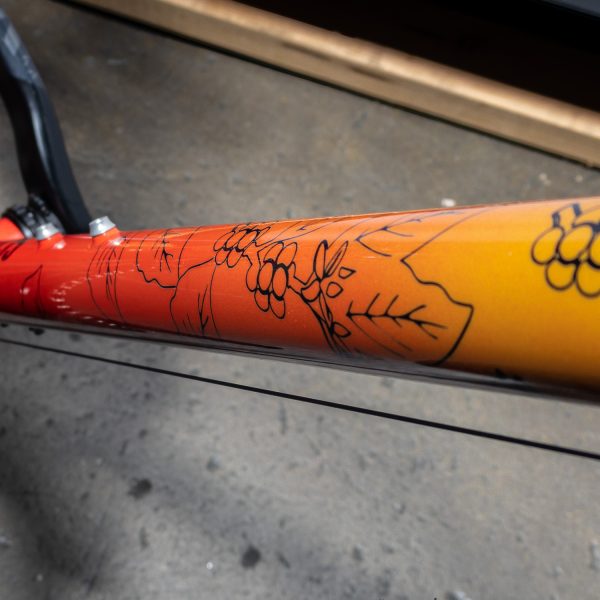 Scarab Paramo Integraded Disc - Frameset