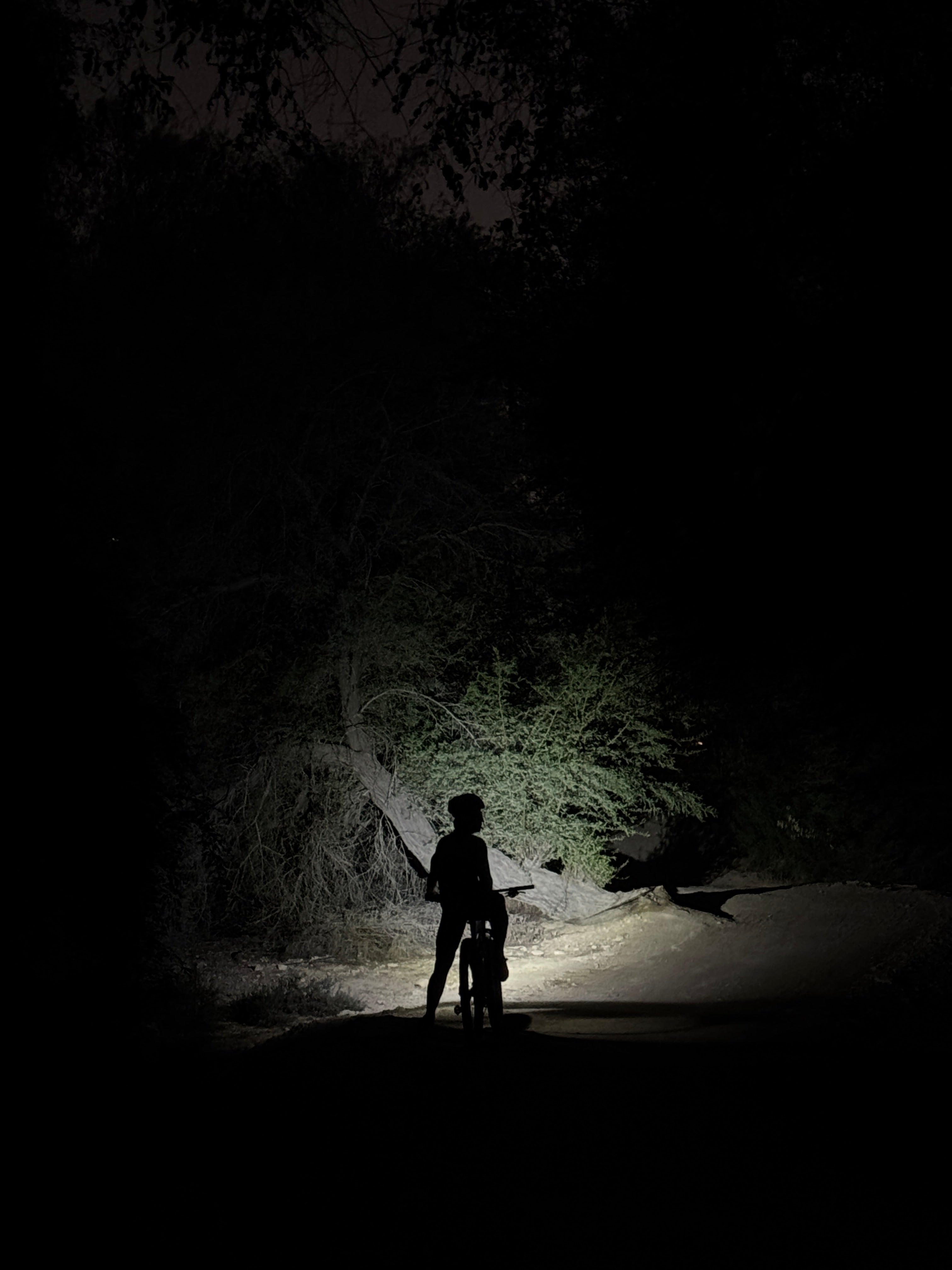 Night Ride - Experience at Mushrif Park
