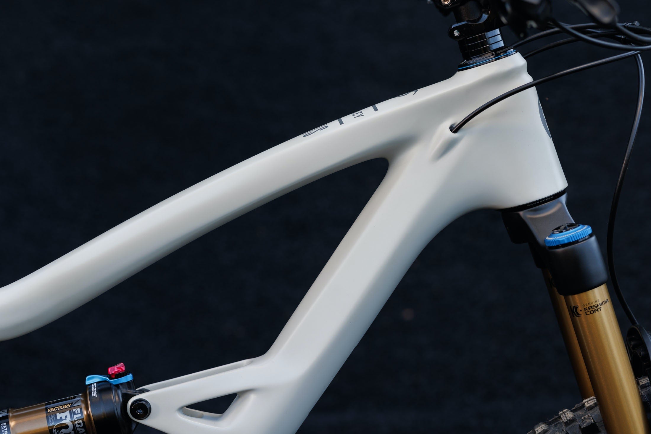 Ibis Ripley (GX Drivetrain)